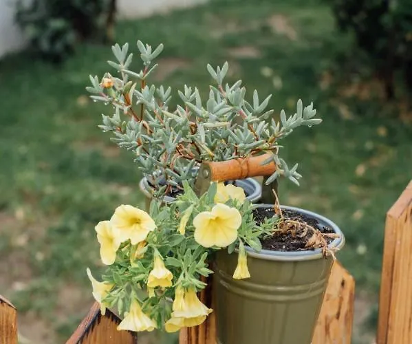 Casa Ti Carolina Holiday home